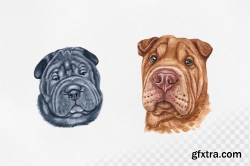 Watercolor Shar Pei Dog Set