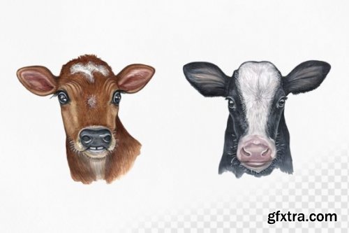 Watercolor Set 8 Cows Ox Illustrations