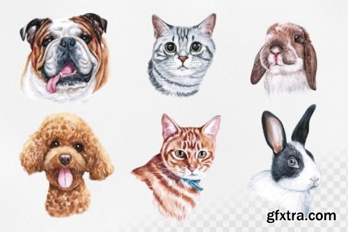 Watercolor Set Cute PET Illustrations