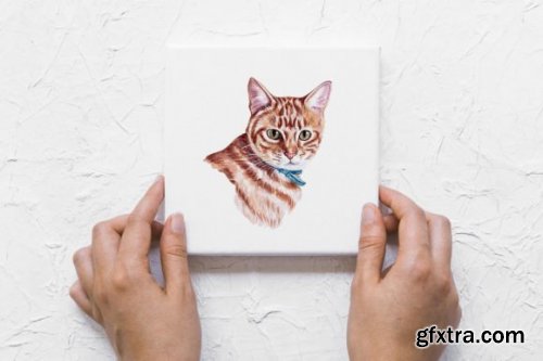 Watercolor Set Cute PET Illustrations