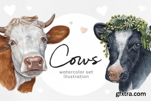 Watercolor Set 8 Cows Ox Illustrations