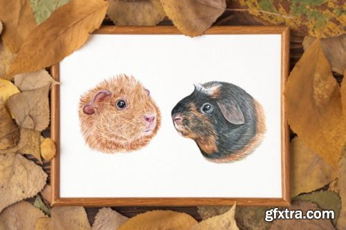 Watercolor Set Cute PET Illustrations