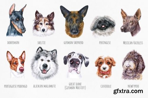 Watercolor Set 20 DOG Breeds