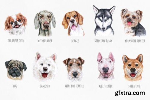 Watercolor Set 20 DOG Breeds