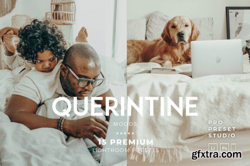 CreativeMarket - Quarantine Moods presets Lightroom 6701929