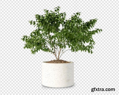 Green houseplant mockup in 3d rendering