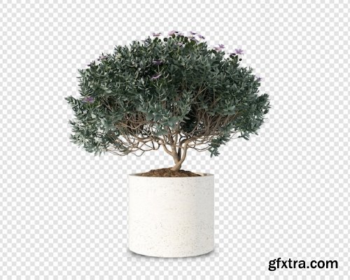 Green houseplant mockup in 3d rendering