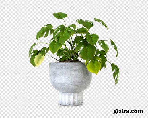 Green houseplant mockup in 3d rendering