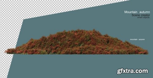 Trees and plants on the mountain in autumn