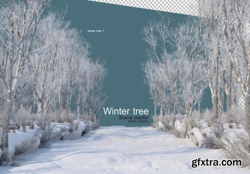 Various winter trees design isolated 