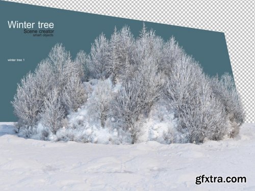 Various winter trees design isolated 