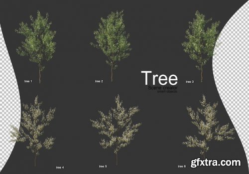 Beautiful various types of trees