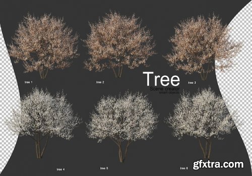 Beautiful various types of trees