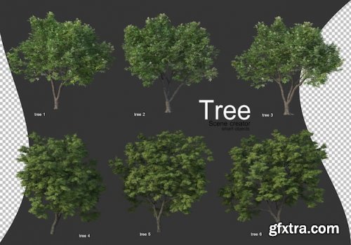 Beautiful various types of trees