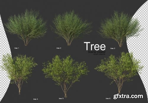 Beautiful various types of trees