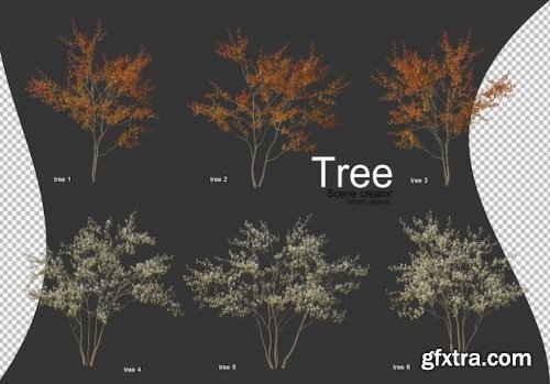 Beautiful various types of trees