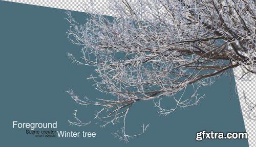 Various winter trees design 02