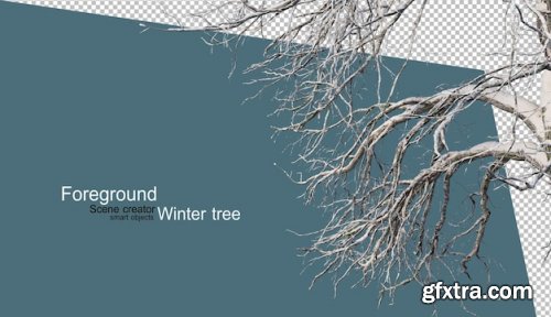 Various winter trees design 02