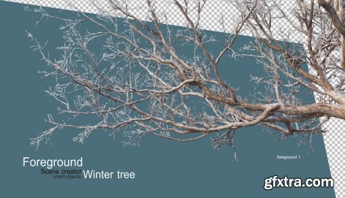 Various winter trees design 02