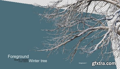 Various winter trees design 02