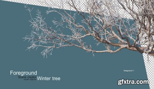 Various winter trees design 02