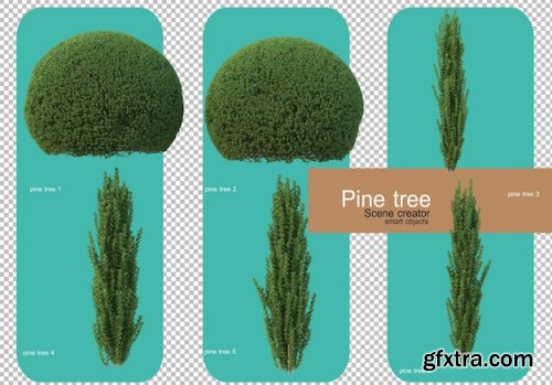 Various forms of pine trees 