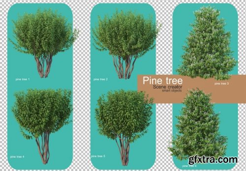 Various forms of pine trees 