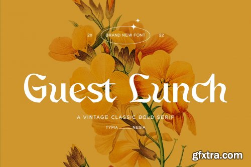 Guest Lunch - Vintage Classic Fantasy Serif