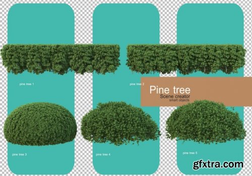 Various forms of pine trees 02