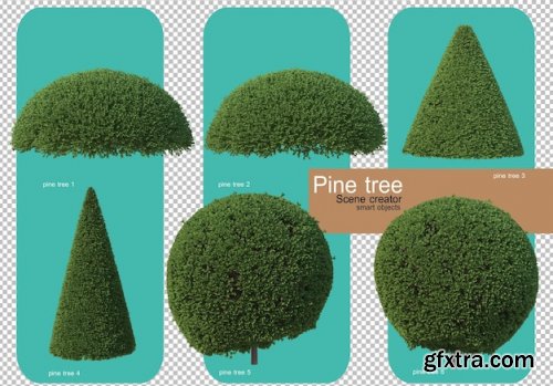 Various forms of pine trees 02