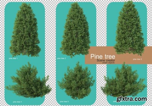 Various forms of pine trees 02