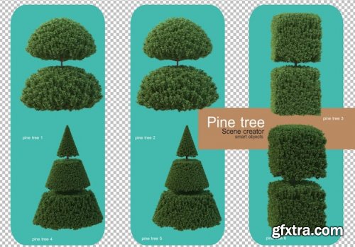 Various forms of pine trees 02