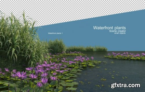 Beautiful variety of waterfront plants