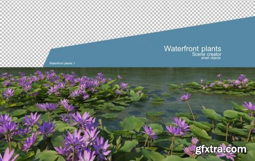 Beautiful variety of waterfront plants