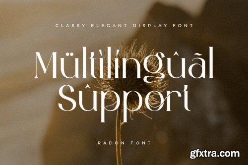 Radon - Classy Elegant Display Font