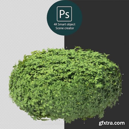 3d rendering various types of bush and hedges