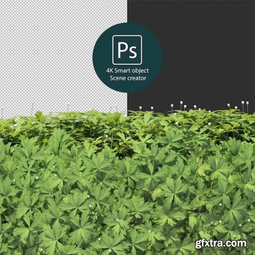 3d rendering various types of bush and hedges