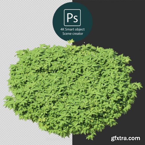 3d rendering various types of bush and hedges