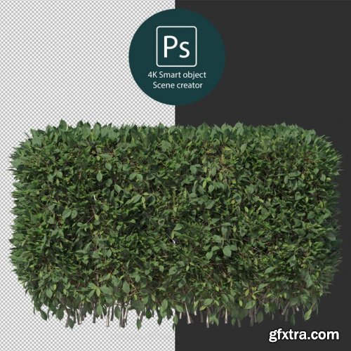 3d rendering various types of bush and hedges 02