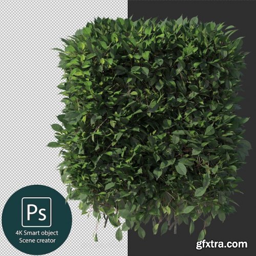 3d rendering various types of bush and hedges 02