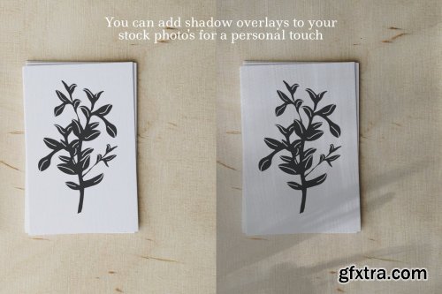 Natural Shadow Overlays and Backgrounds