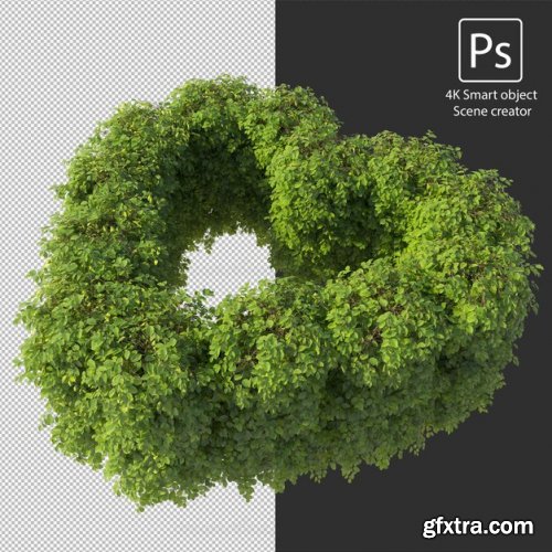 3d rendering various types of bush and hedges 04