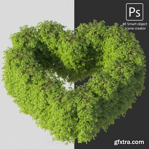 3d rendering various types of bush and hedges 04