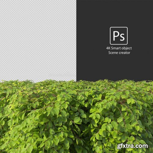 3d rendering various types of bush and hedges 04