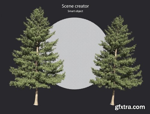 Various types of tree plants