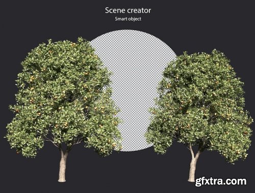 Various types of tree plants