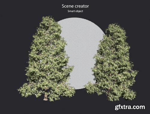 Various types of tree plants