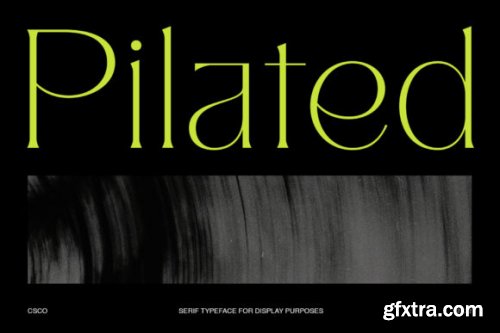  Pilated - Modern Serif Typeface