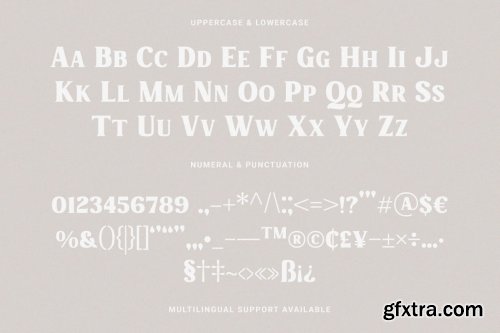 Charmist – Thick And Unique Serif