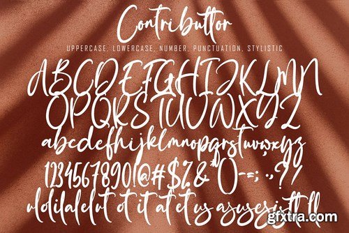 Contributtor Font